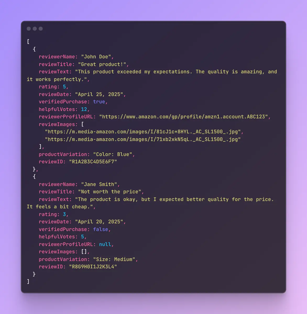 Review Scraper Example